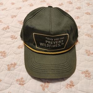 Only you can prevent Wildfires